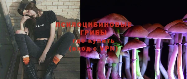 a pvp Горнозаводск