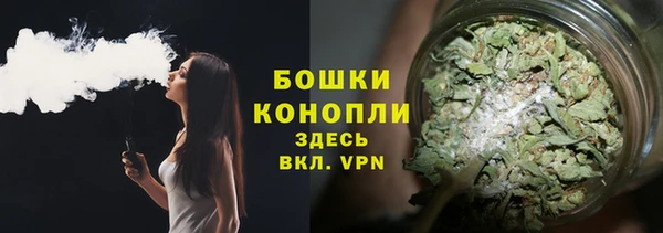 каннабис Болотное