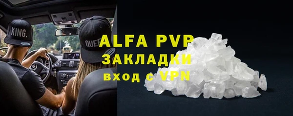 бошки Гусев