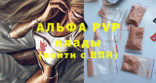 бошки Гусев