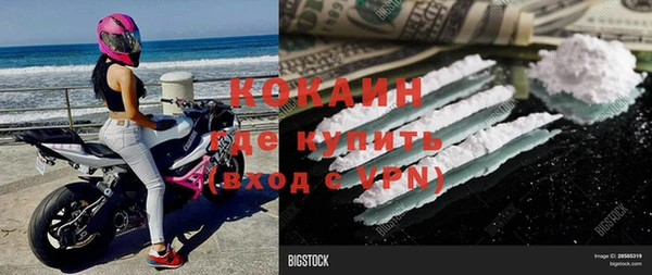 бошки Гусев