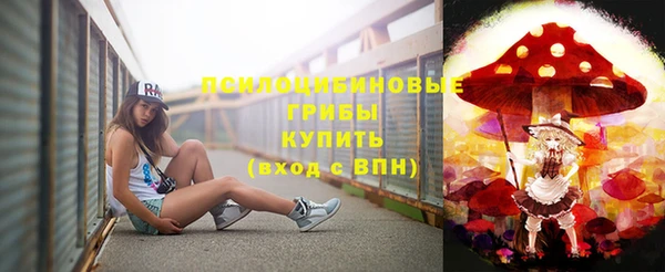 бошки Гусев